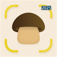 蘑菇识别-AI Mushroom IdentifierV1.1